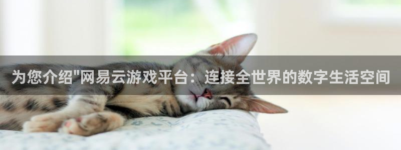 杏运连连