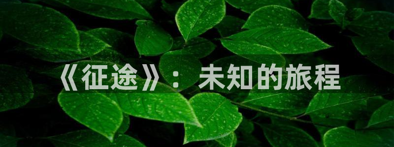 杏运娱乐注册流程