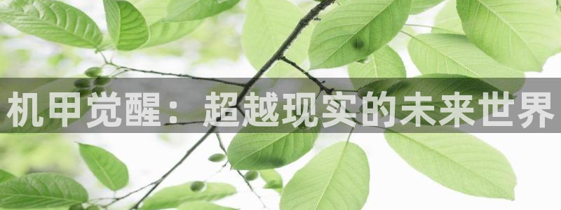 杏运娱乐怎么样
