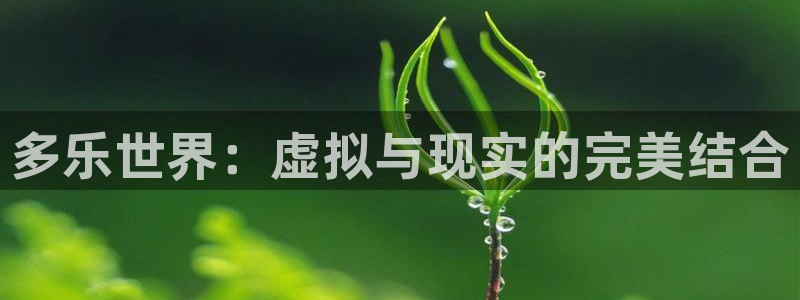 杏运娱乐手机端官网