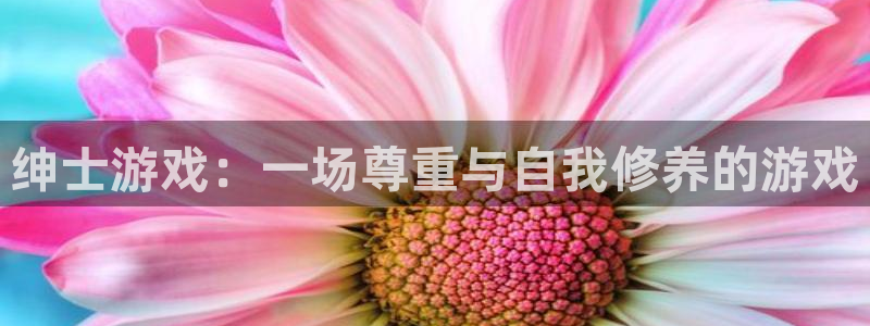 杏运电影免费观看：绅士游戏：一场尊重与自我修养的游戏