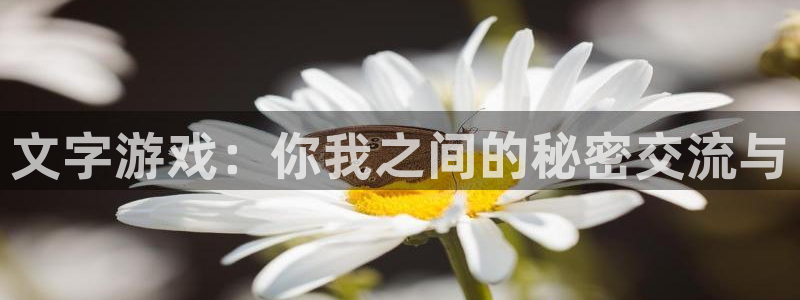杏运