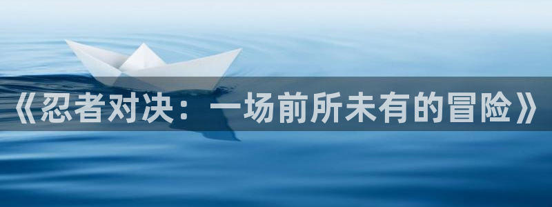 杏运连连：《忍者对决：一场前所未有的冒险》