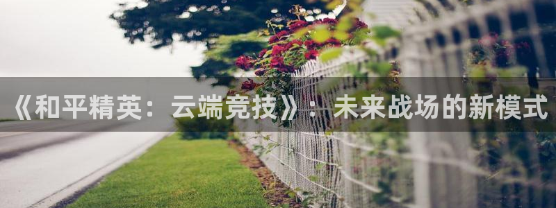 杏运娱乐注册账号入口在哪里：《和平精英：云端竞技》：未来战场