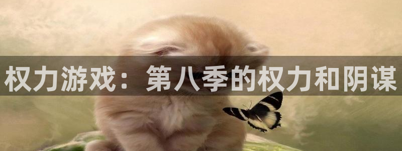 杏运娱乐注册资金多少