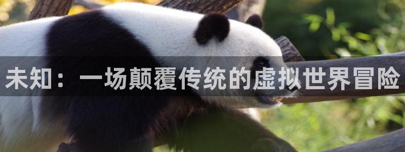 杏运注册：未知：一场颠覆传统的虚拟世界冒险